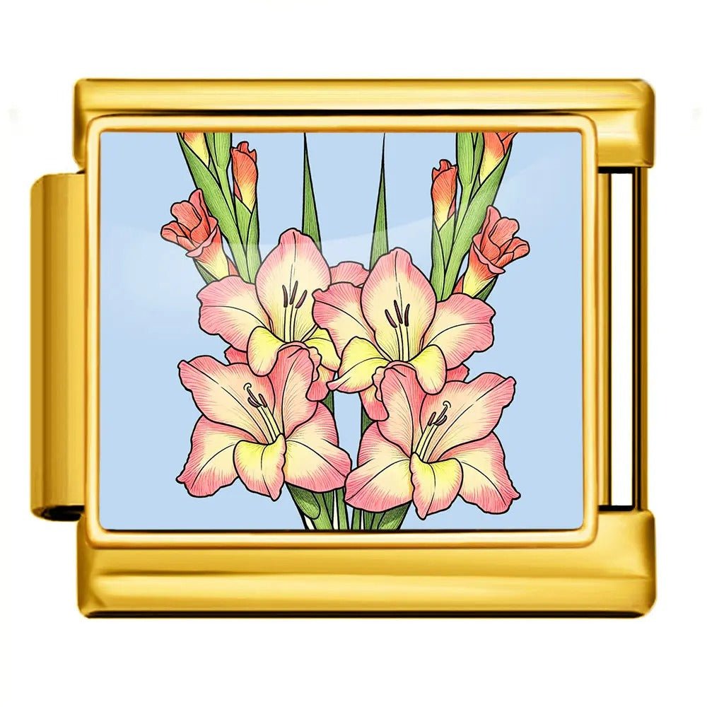 Gladiolus