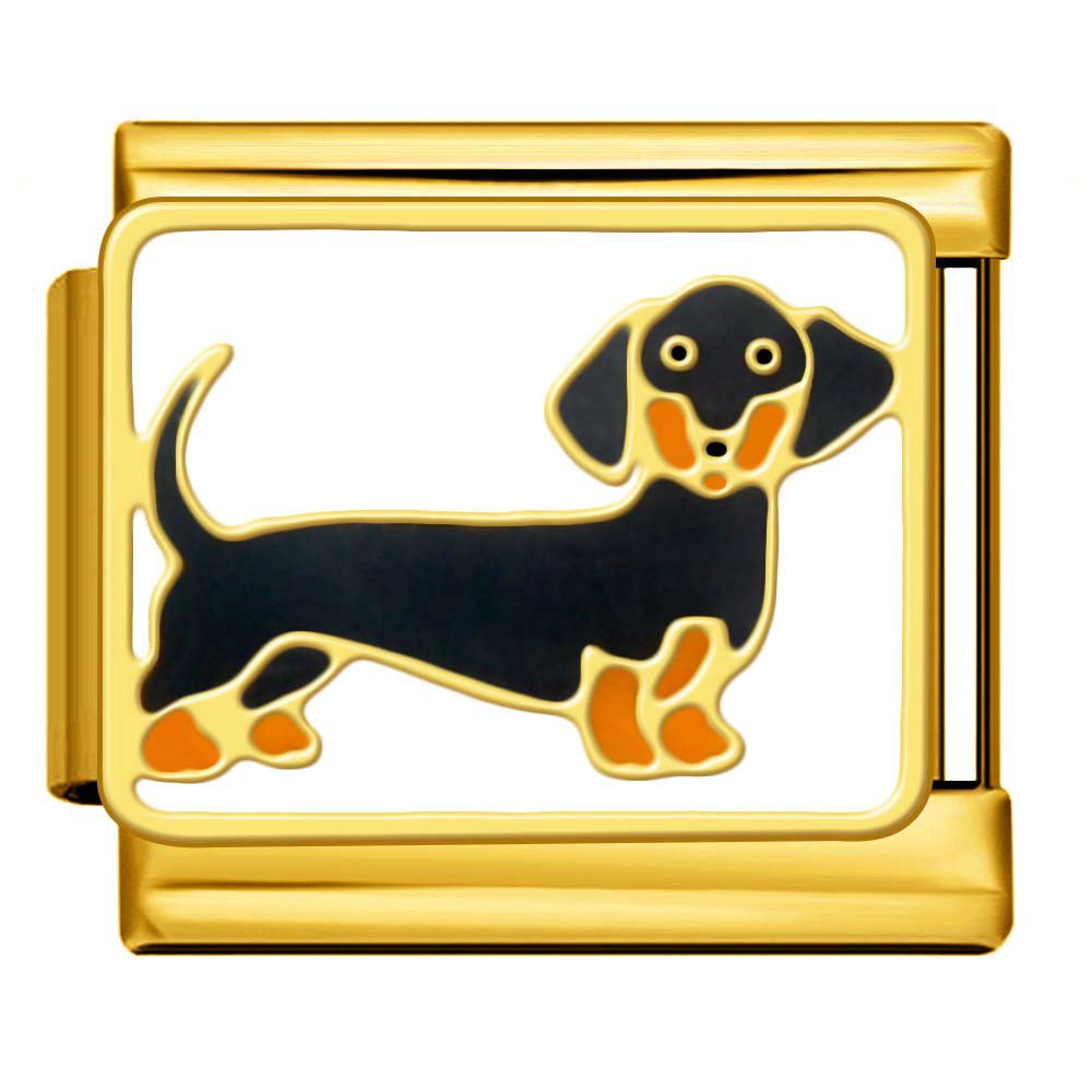 Gravhund