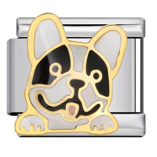 Bouledogue français