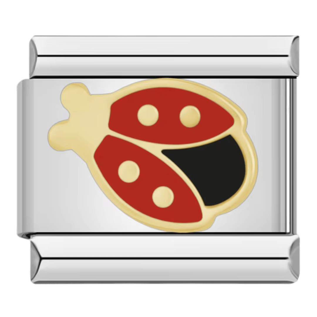 Coccinelle charm