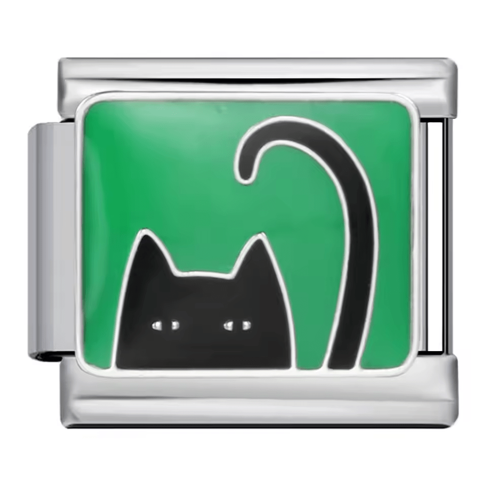 Chat curieux