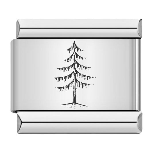 Pin
