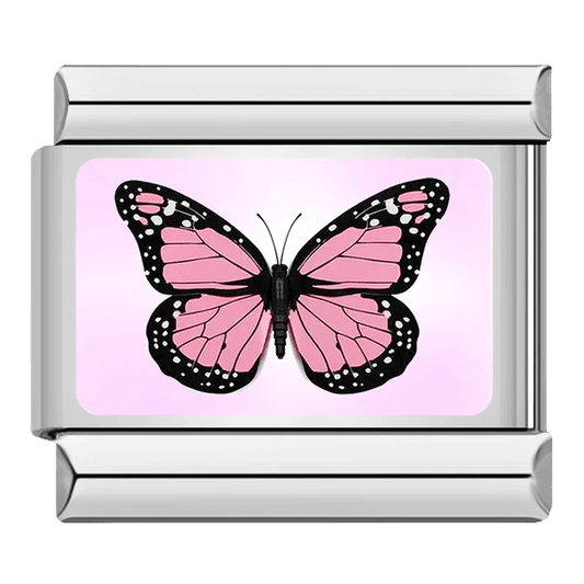 Papillon