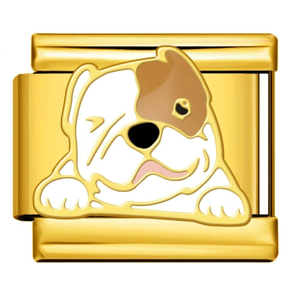 Bulldog
