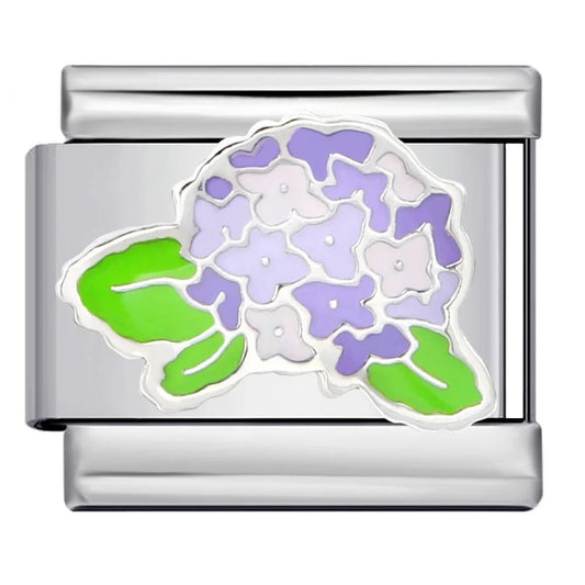 Hydrangea charm