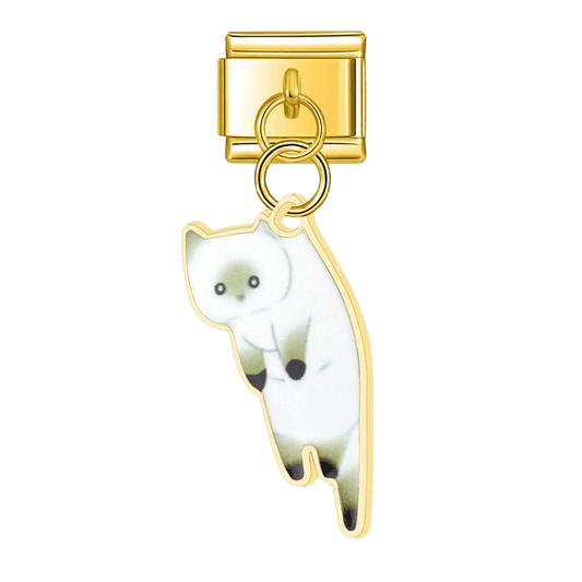 Chaton blanc